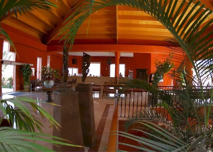 House Oasis 科拉雷侯